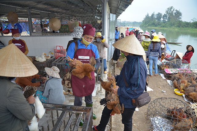 USAID代表讨论了越南家禽市场的大流行风险。照片：Jens Peter Dalsgaard / USAID的禽流感流感倡议项目队