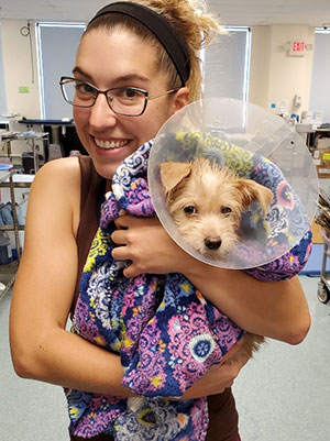 “这条热线对学生和悲伤的宠物主人来说都是无价的服务，”V22岁的莎拉·弗罗默(Sarah Frommer)说。图片:由Sarah Frommer提供